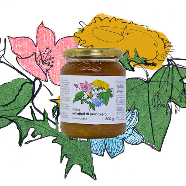 Miele millefiori di primavera