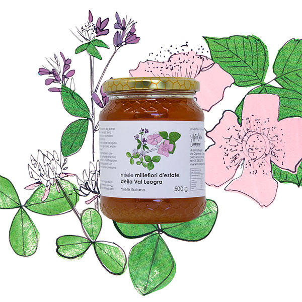 Miele millefiori d’estate della Val Leogra